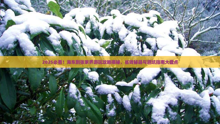 海东到张家界哪里玩
