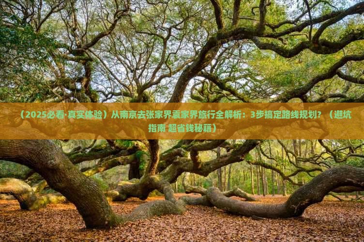 南京到张家界袁家界旅行社