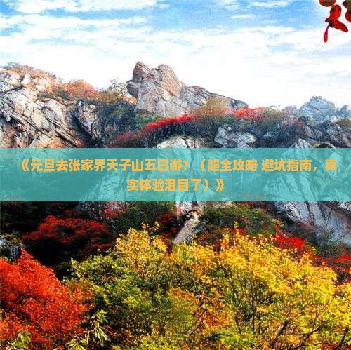 元旦去张家界天子山五日游