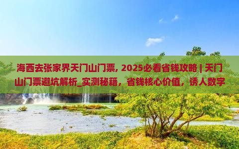 海西去张家界天门山门票