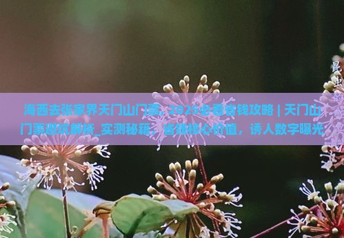海西去张家界天门山门票