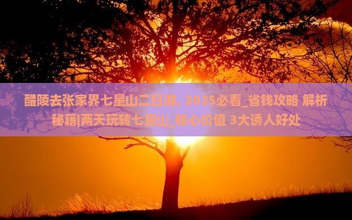 醴陵去张家界七星山二日游
