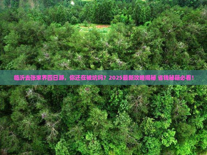 临沂去张家界四日游