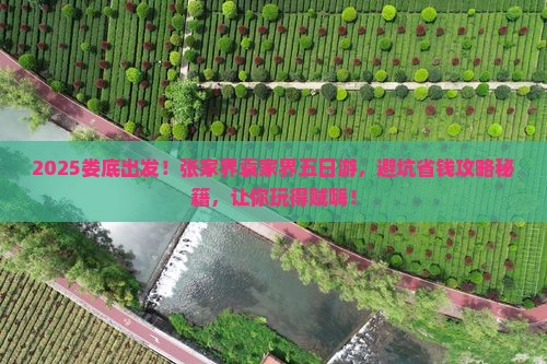 娄底到张家界袁家界五日游