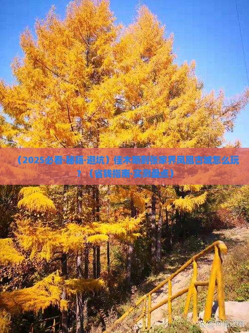 佳木斯到张家界凤凰古城攻略