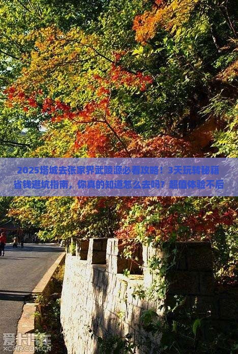 塔城去张家界武陵源景点