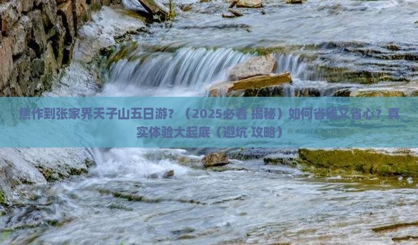 焦作到张家界天子山五日游