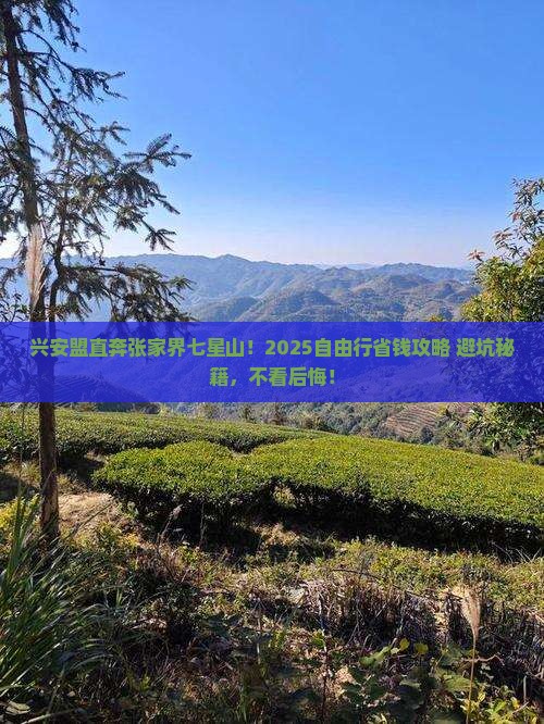 兴安盟到张家界七星山自由团