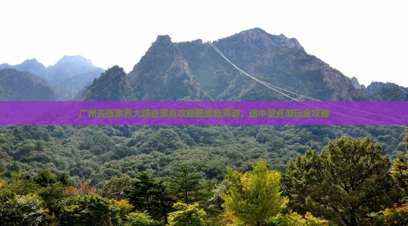 广州去张家界大峡谷景点