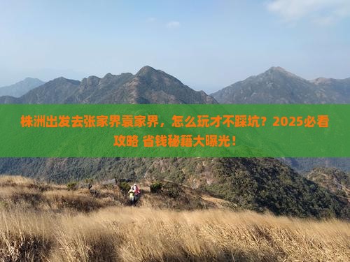 株洲去张家界袁家界哪里玩