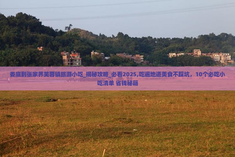 娄底到张家界芙蓉镇旅游小吃