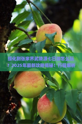 绥化到张家界武陵源七日游
