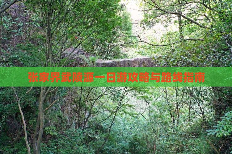 张家界去张家界武陵源一日