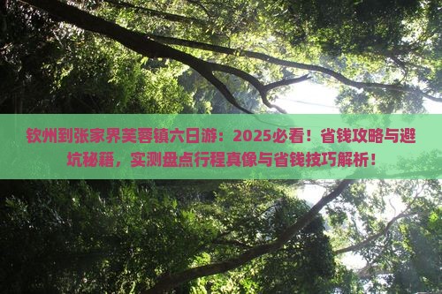 钦州到张家界芙蓉镇六日游