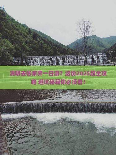 清明节去张家界一日