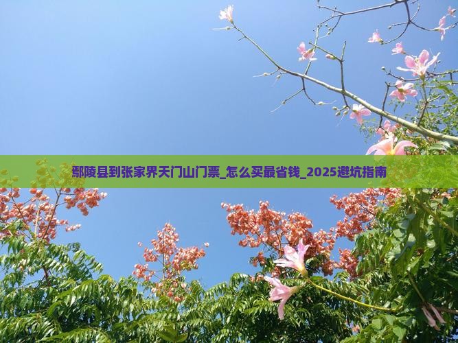 鄢陵县到张家界天门山门票