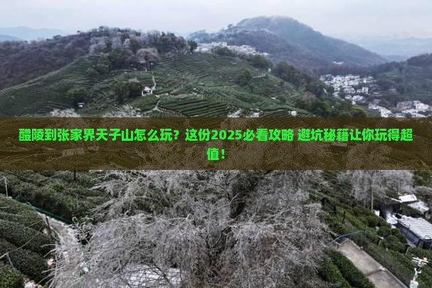 醴陵到张家界天子山哪里玩