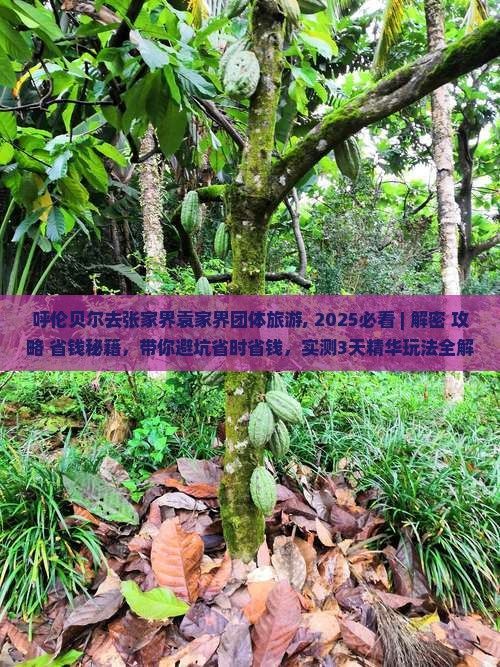 呼伦贝尔去张家界袁家界团体旅游