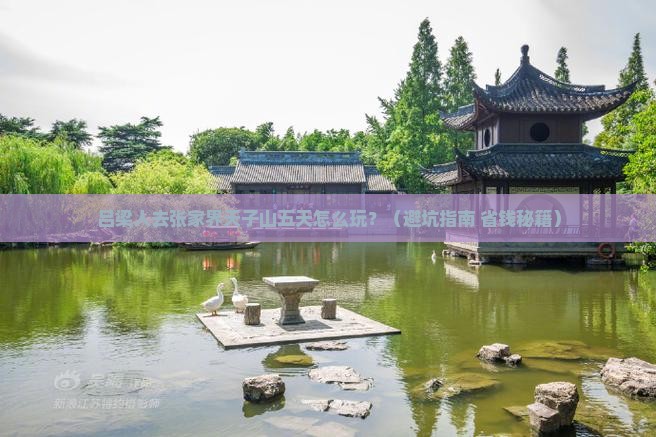 吕梁到张家界天子山五日游