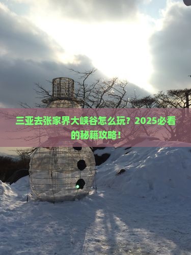 三亚去张家界大峡谷攻略