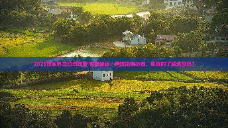 大同去张家界三日游
