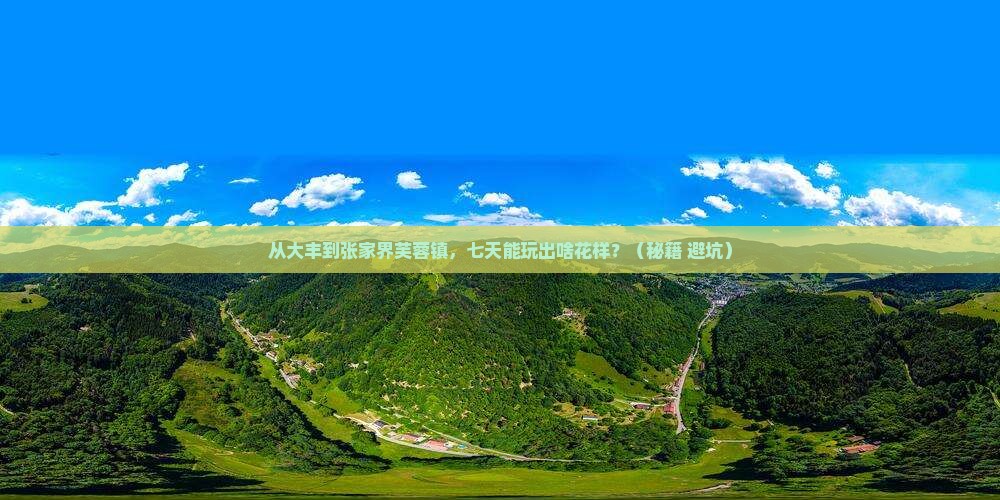 大丰到张家界芙蓉镇七日游