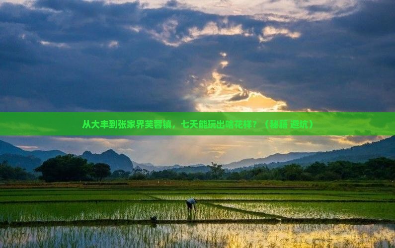 大丰到张家界芙蓉镇七日游