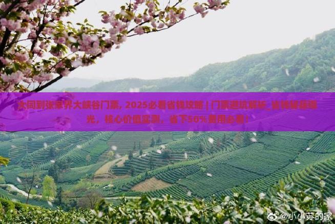大同到张家界大峡谷门票