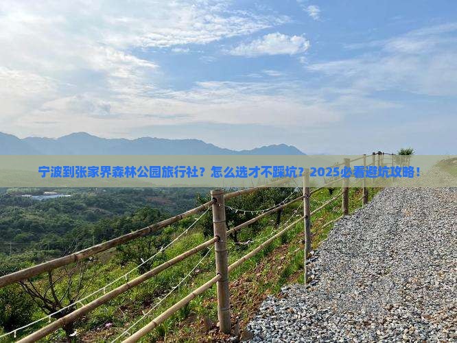宁波到张家界森林公园旅行社