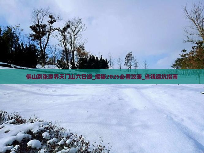 佛山到张家界天门山六日游