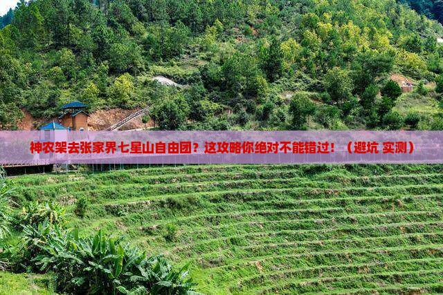 神农架去张家界七星山自由团