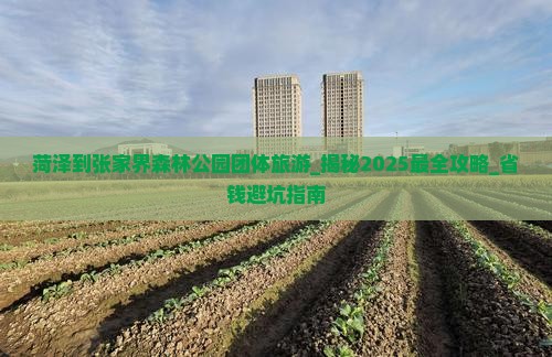 菏泽到张家界森林公园团体旅游 菏泽到张家界森林公园团体旅游