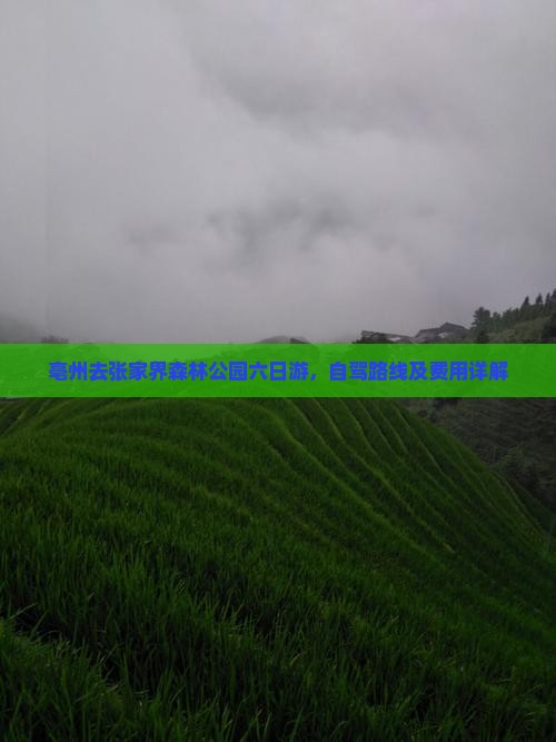 亳州去张家界森林公园六日游