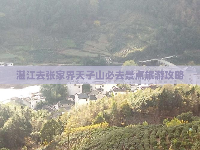 湛江去张家界天子山必去地