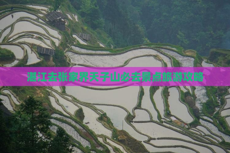 湛江去张家界天子山必去地