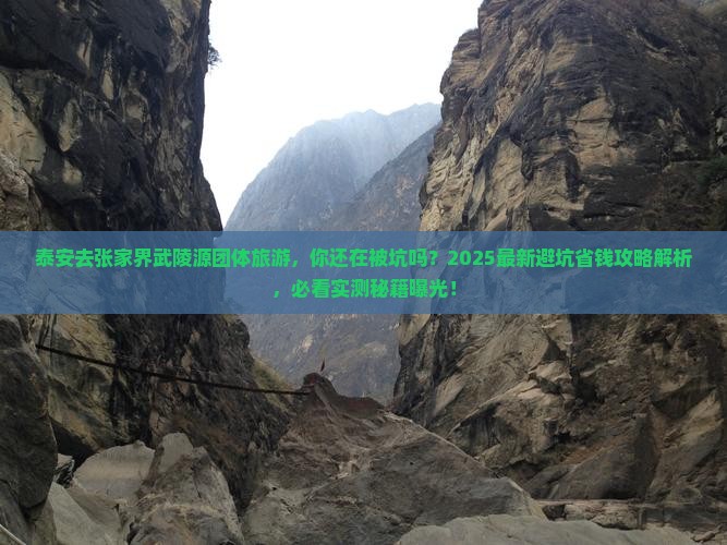 泰安去张家界武陵源团体旅游