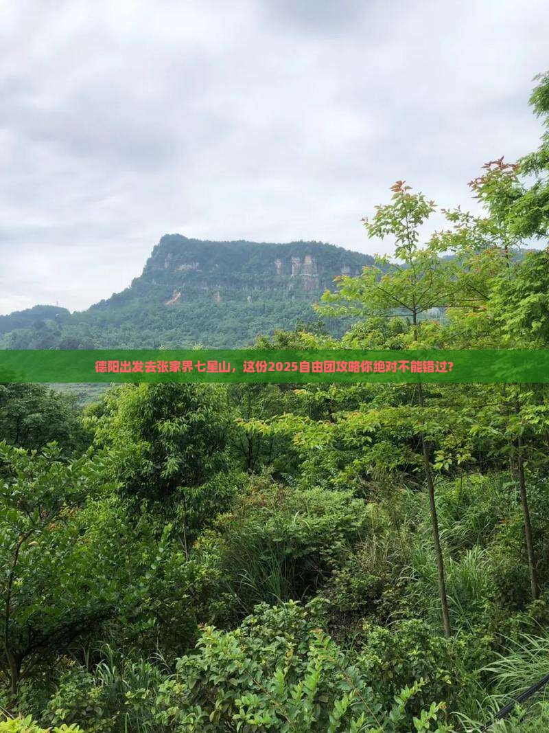 德阳到张家界七星山自由团