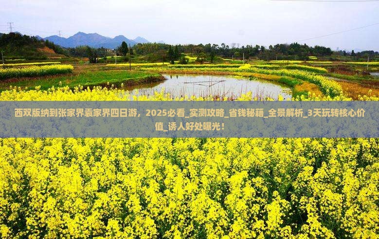 西双版纳到张家界袁家界四日游