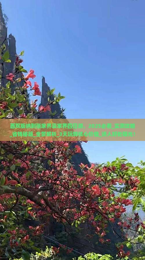 西双版纳到张家界袁家界四日游