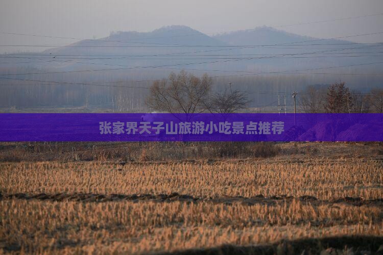 上海到张家界天子山旅游小吃