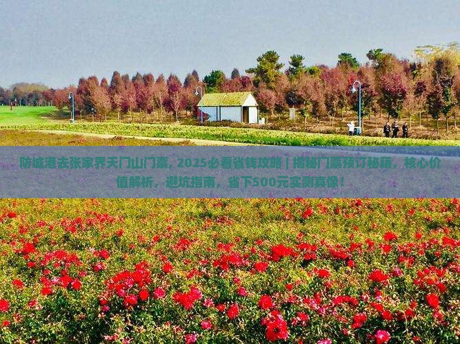 防城港去张家界天门山门票