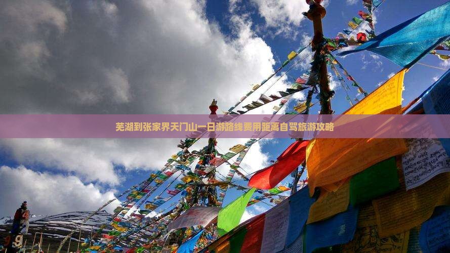 芜湖到张家界天门山一日