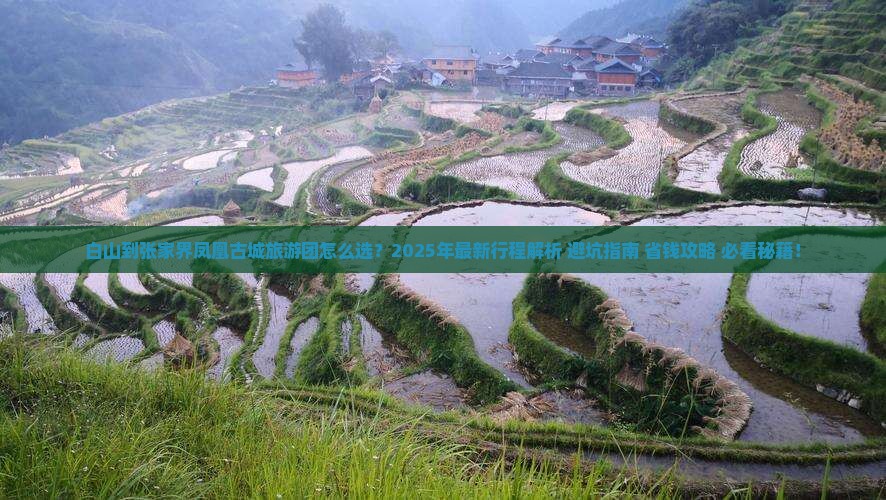 白山到张家界凤凰古城大型旅游团