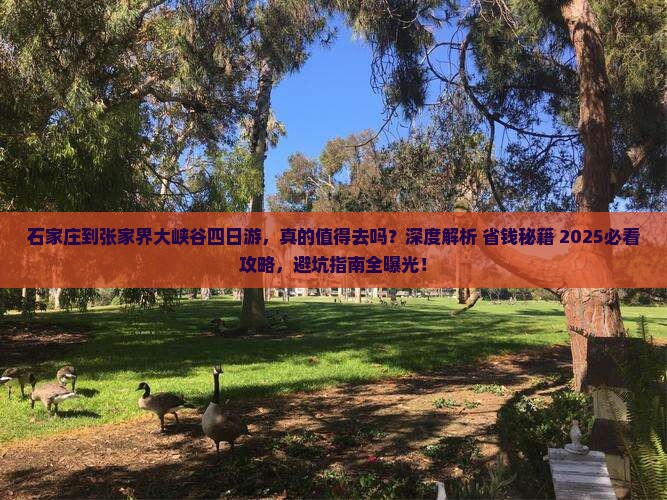 石家庄到张家界大峡谷四日游