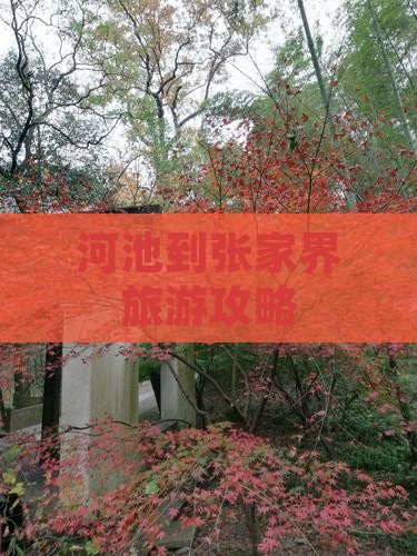 河池到张家界森林公园景点