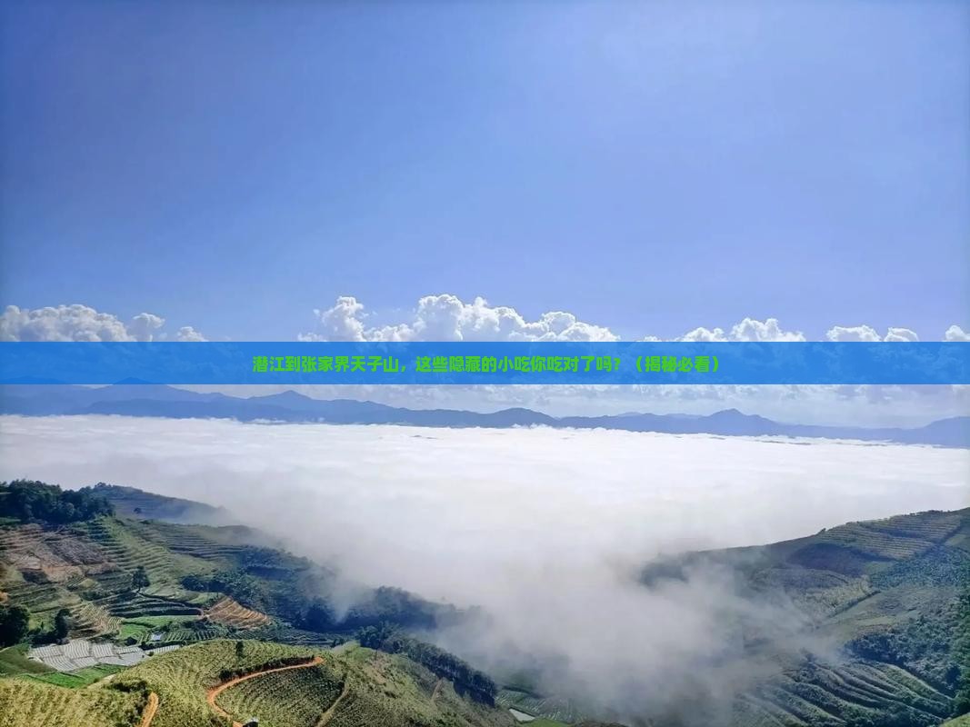 潜江到张家界天子山旅游小吃