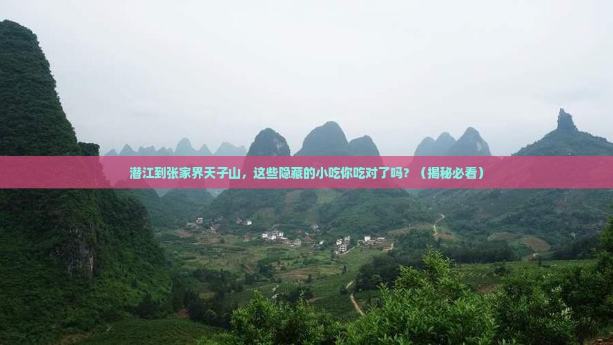 潜江到张家界天子山旅游小吃
