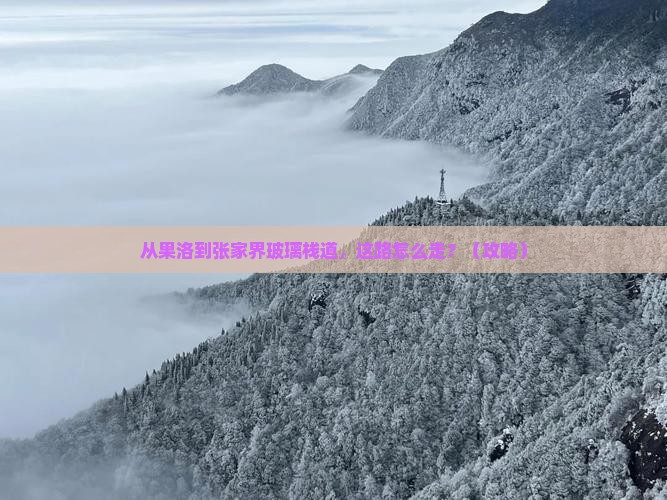 果洛到张家界玻璃栈道景点