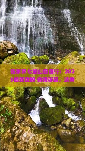 思茅去张家界七星山自由行
