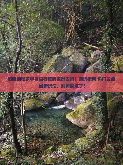 铜陵到张家界自由行